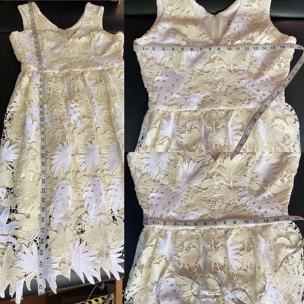 Dress the Population White and Cream Lace Midi Dress - Picture 8 of 8